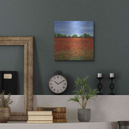 Luxe Metal Art 'Field of Poppies I' by Tim O'Toole, Metal Wall Art,12x12