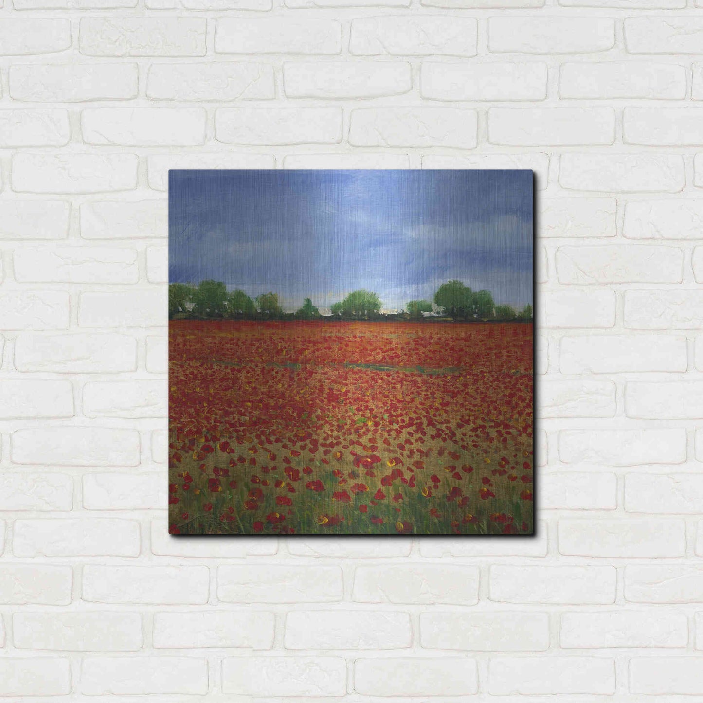 Luxe Metal Art 'Field of Poppies I' by Tim O'Toole, Metal Wall Art,24x24