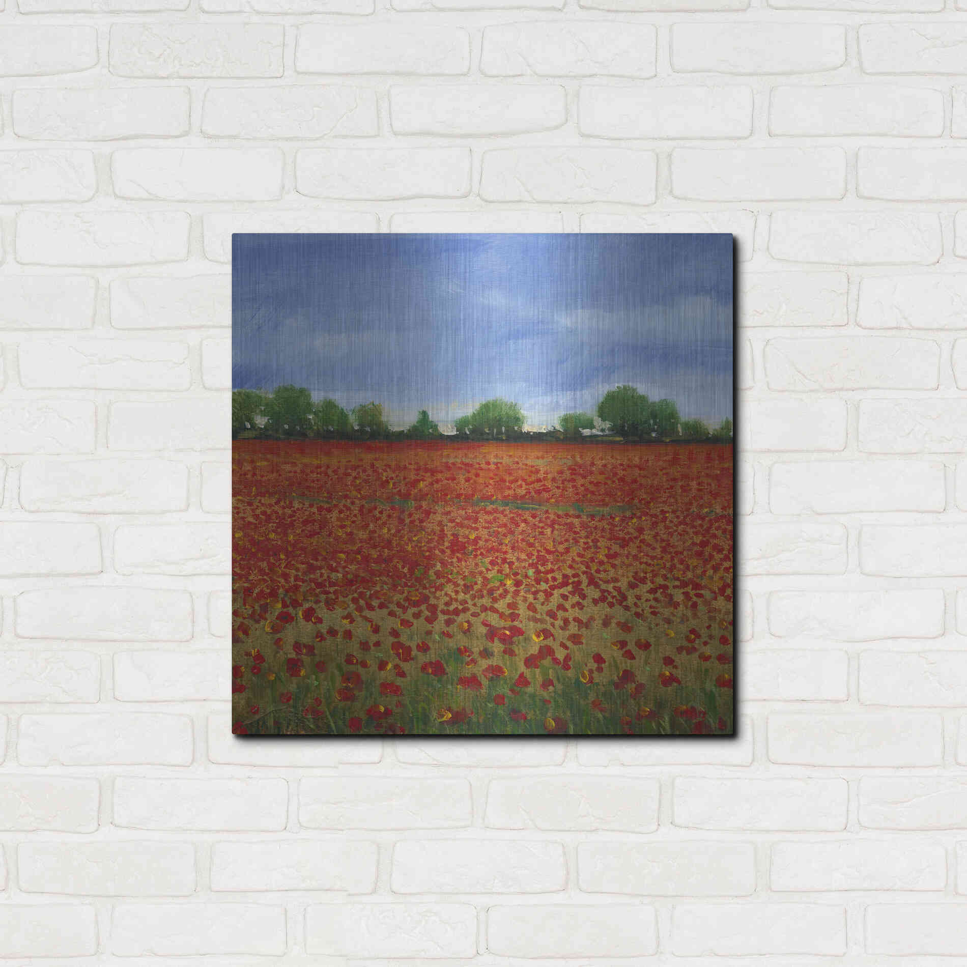 Luxe Metal Art 'Field of Poppies I' by Tim O'Toole, Metal Wall Art,24x24