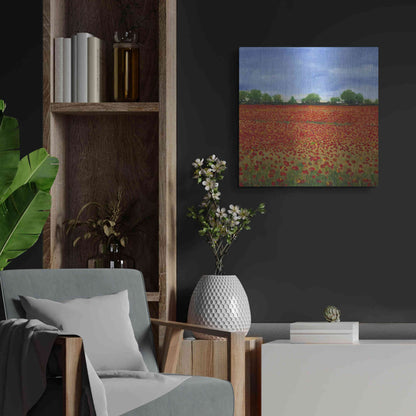 Luxe Metal Art 'Field of Poppies I' by Tim O'Toole, Metal Wall Art,24x24