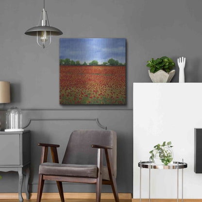 Luxe Metal Art 'Field of Poppies I' by Tim O'Toole, Metal Wall Art,24x24