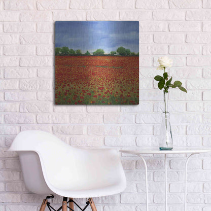 Luxe Metal Art 'Field of Poppies I' by Tim O'Toole, Metal Wall Art,24x24