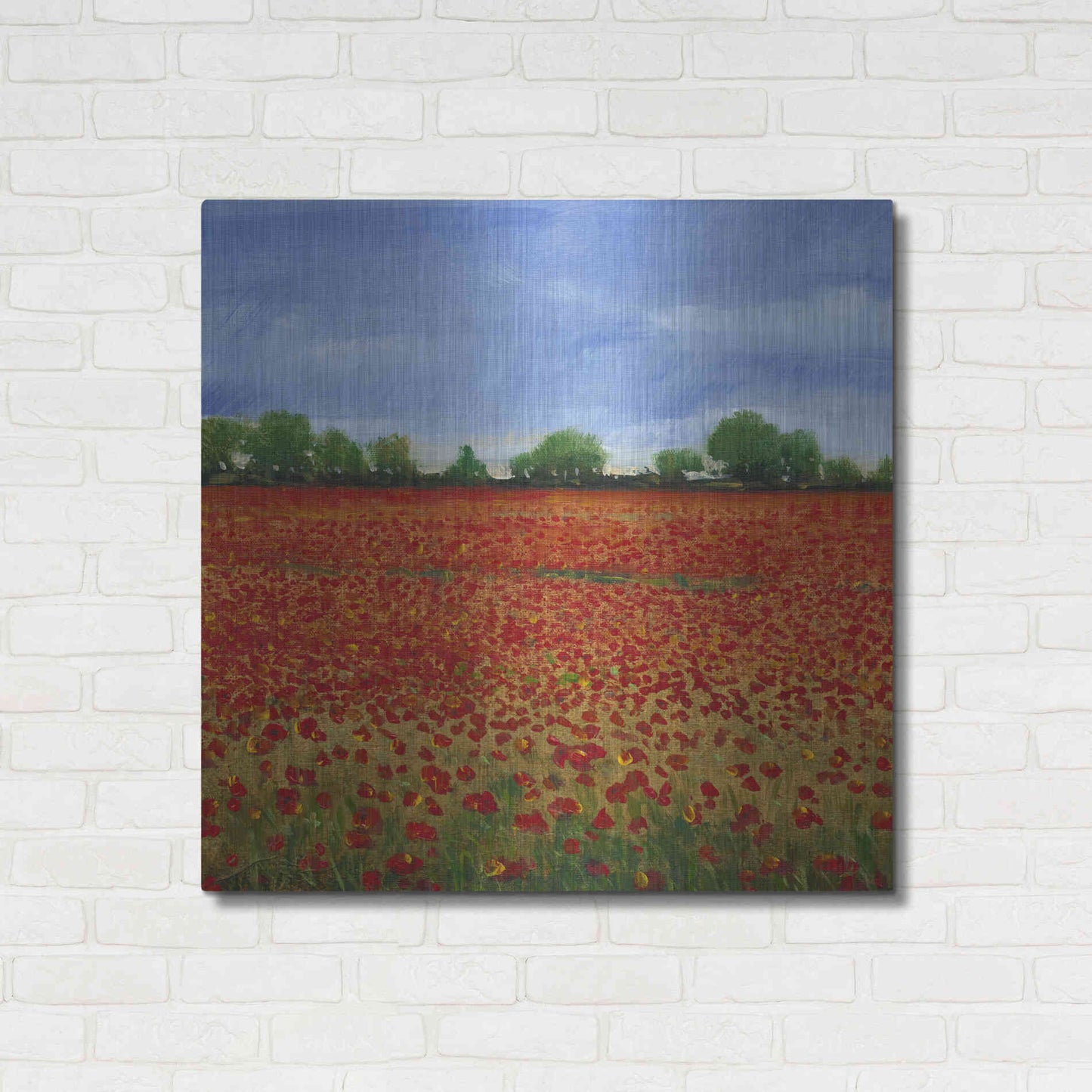 Luxe Metal Art 'Field of Poppies I' by Tim O'Toole, Metal Wall Art,36x36