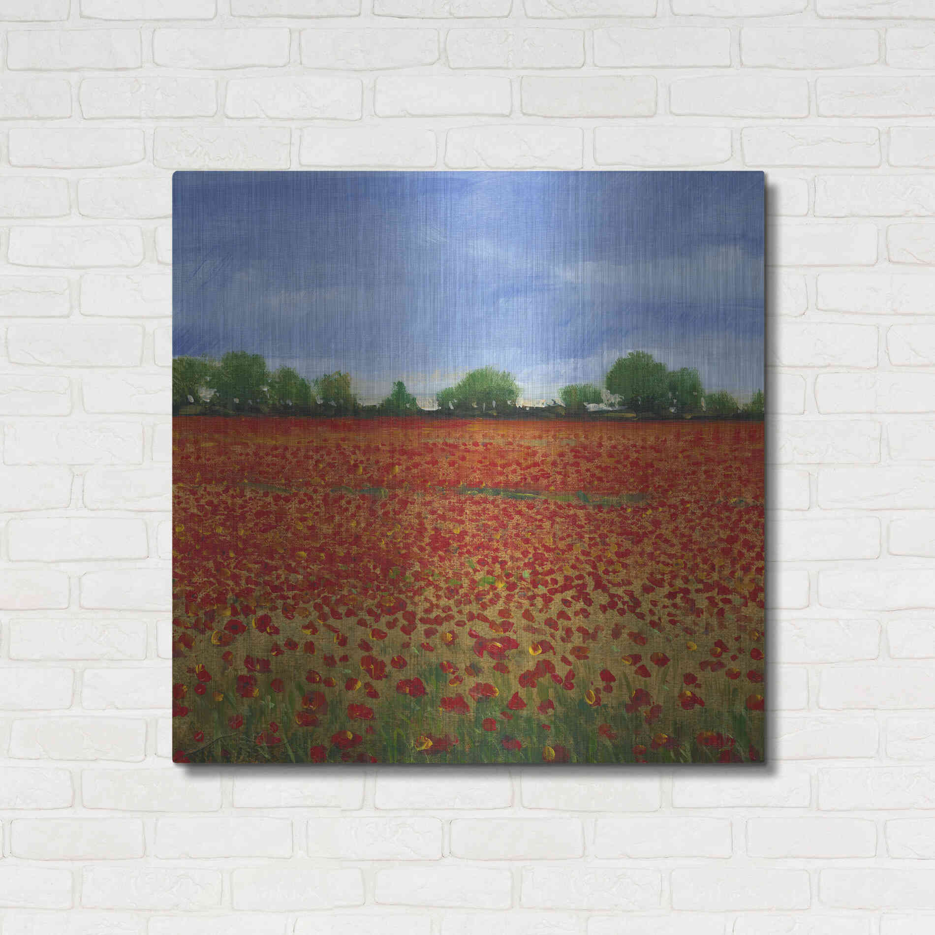 Luxe Metal Art 'Field of Poppies I' by Tim O'Toole, Metal Wall Art,36x36