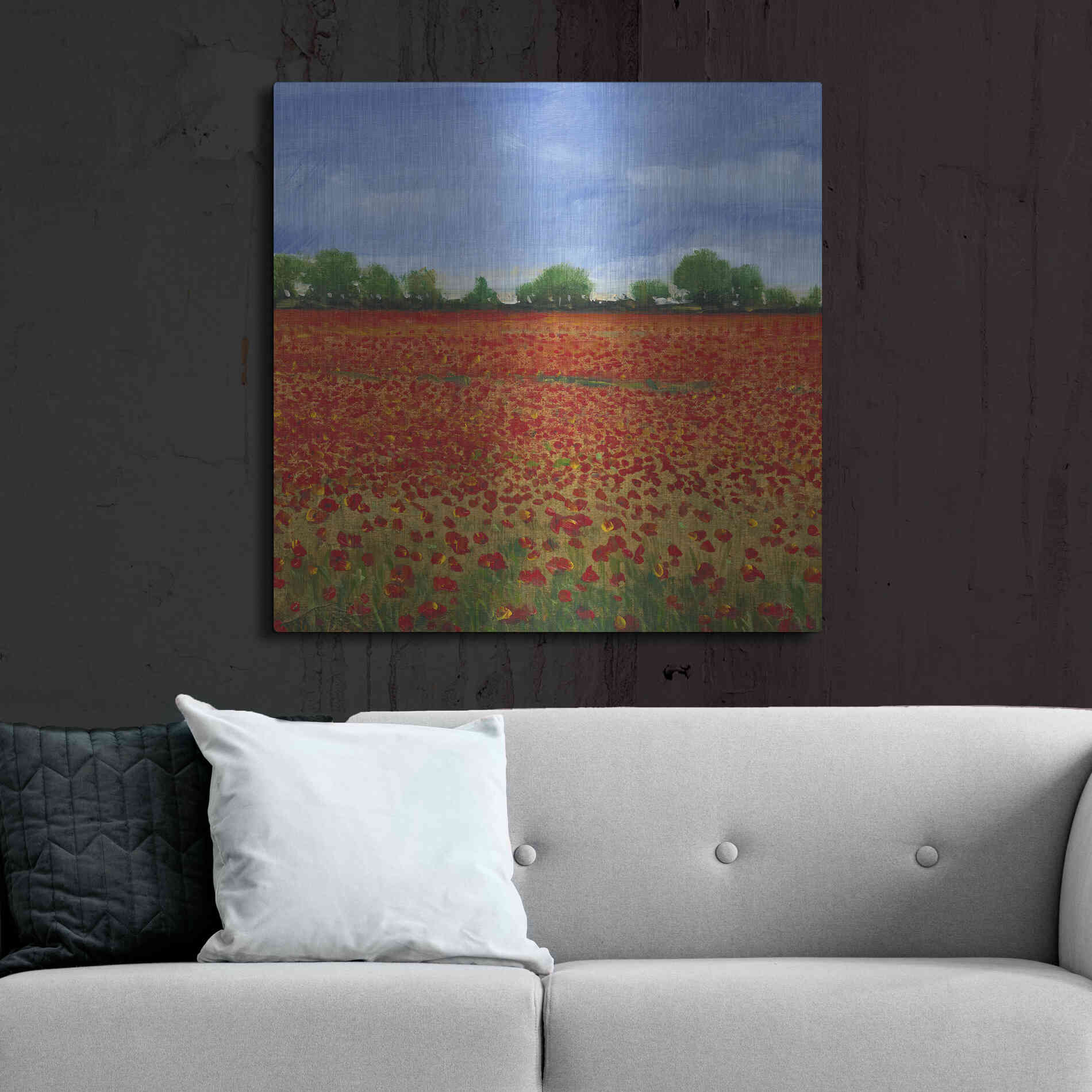 Luxe Metal Art 'Field of Poppies I' by Tim O'Toole, Metal Wall Art,36x36