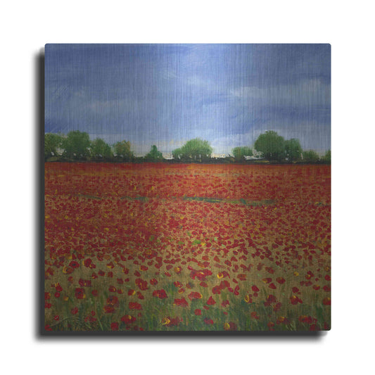 Luxe Metal Art 'Field of Poppies I' by Tim O'Toole, Metal Wall Art