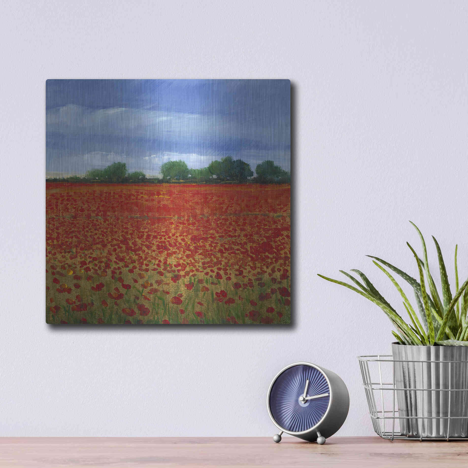 Luxe Metal Art 'Field of Poppies II' by Tim O'Toole, Metal Wall Art,12x12