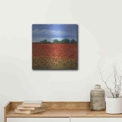 Luxe Metal Art 'Field of Poppies II' by Tim O'Toole, Metal Wall Art,12x12