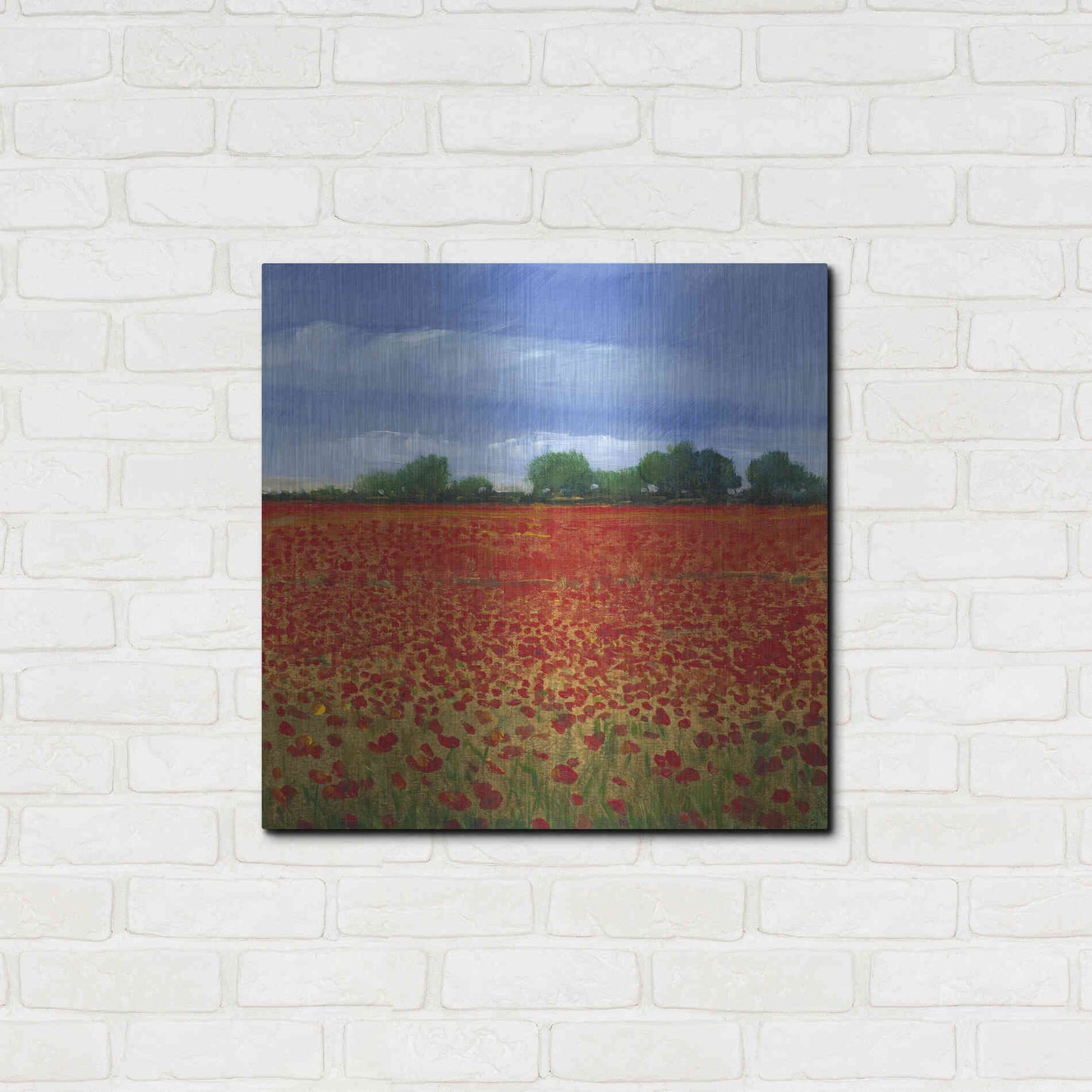 Luxe Metal Art 'Field of Poppies II' by Tim O'Toole, Metal Wall Art,24x24