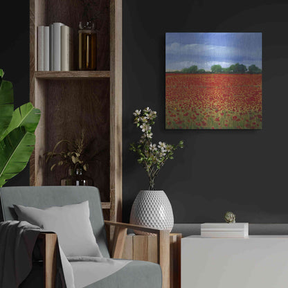 Luxe Metal Art 'Field of Poppies II' by Tim O'Toole, Metal Wall Art,24x24