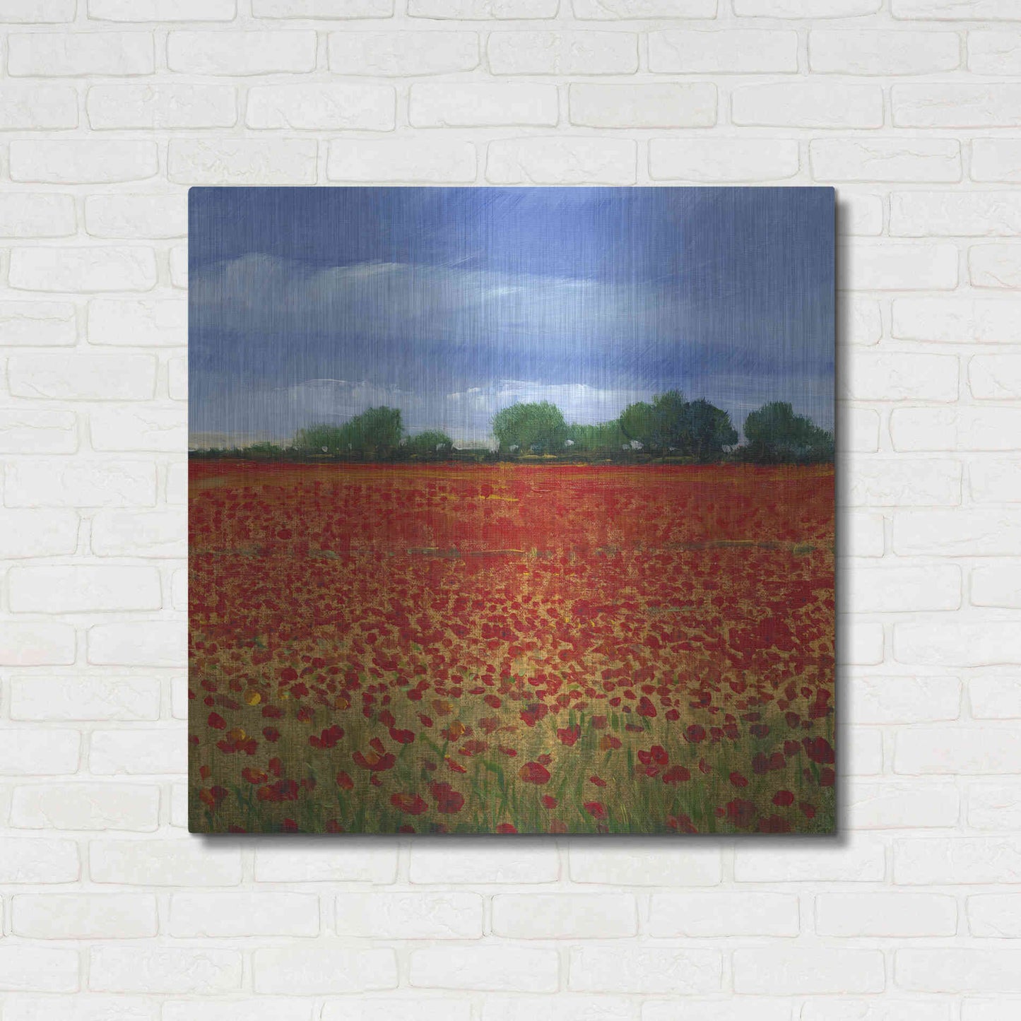 Luxe Metal Art 'Field of Poppies II' by Tim O'Toole, Metal Wall Art,36x36