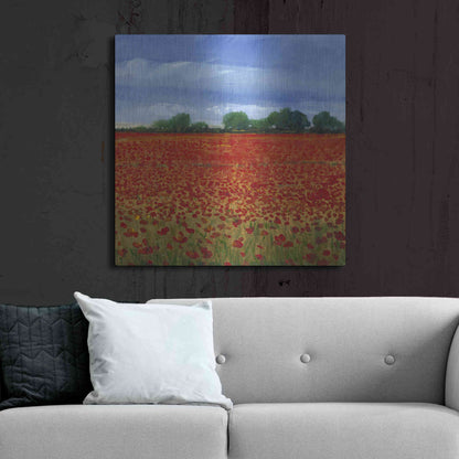 Luxe Metal Art 'Field of Poppies II' by Tim O'Toole, Metal Wall Art,36x36