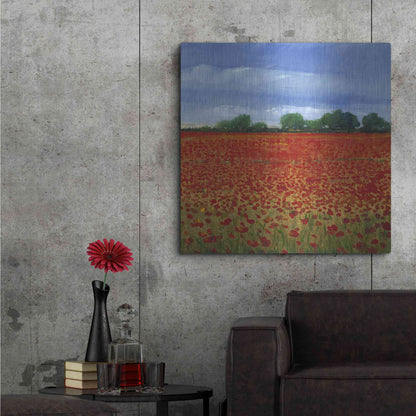 Luxe Metal Art 'Field of Poppies II' by Tim O'Toole, Metal Wall Art,36x36