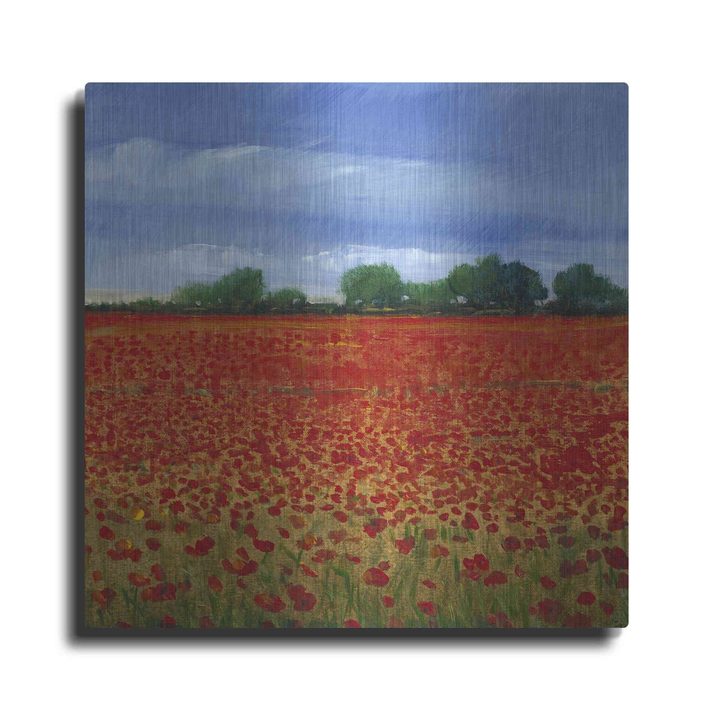 Luxe Metal Art 'Field of Poppies II' by Tim O'Toole, Metal Wall Art