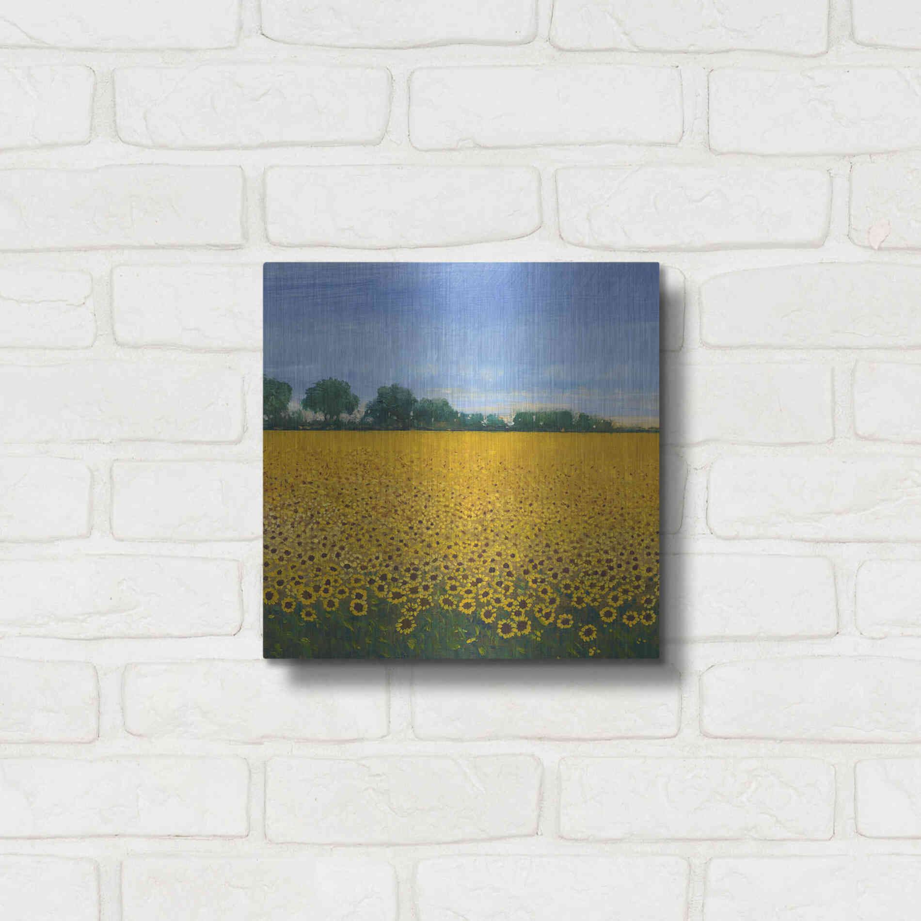 Luxe Metal Art 'Field of Sunflowers I' by Tim O'Toole, Metal Wall Art,12x12