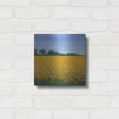 Luxe Metal Art 'Field of Sunflowers I' by Tim O'Toole, Metal Wall Art,12x12