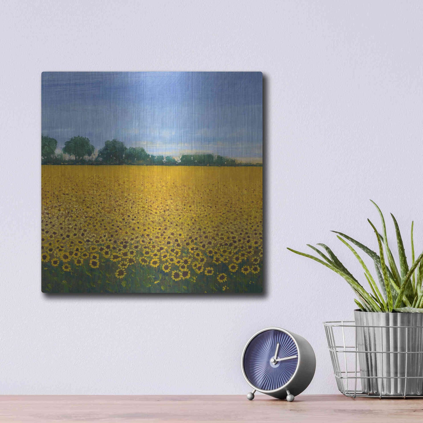 Luxe Metal Art 'Field of Sunflowers I' by Tim O'Toole, Metal Wall Art,12x12