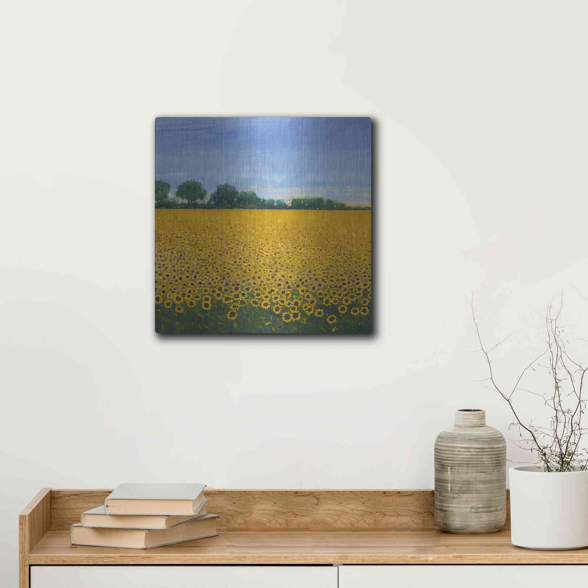 Luxe Metal Art 'Field of Sunflowers I' by Tim O'Toole, Metal Wall Art,12x12