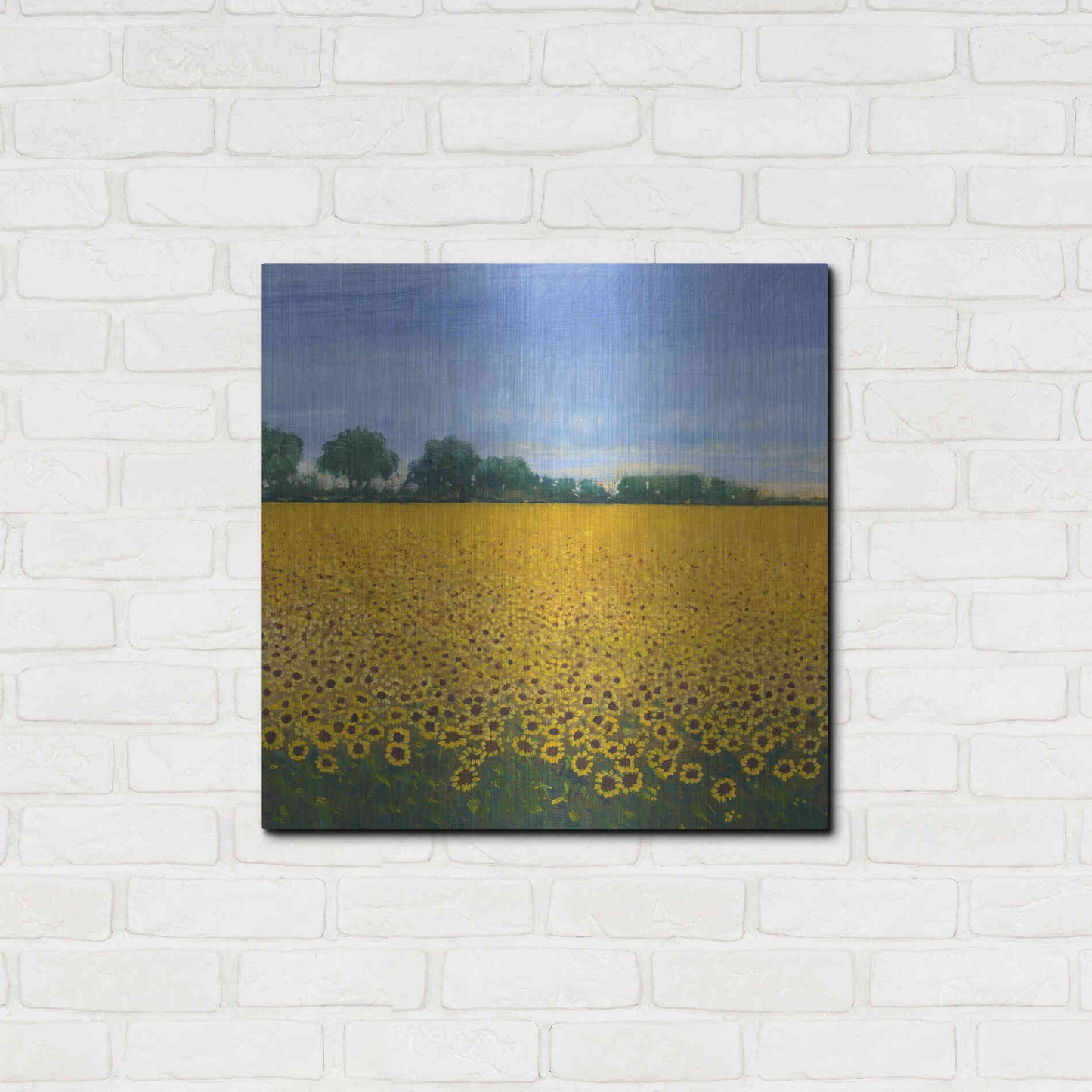 Luxe Metal Art 'Field of Sunflowers I' by Tim O'Toole, Metal Wall Art,24x24
