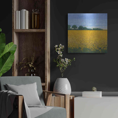 Luxe Metal Art 'Field of Sunflowers I' by Tim O'Toole, Metal Wall Art,24x24