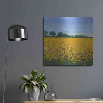 Luxe Metal Art 'Field of Sunflowers I' by Tim O'Toole, Metal Wall Art,24x24