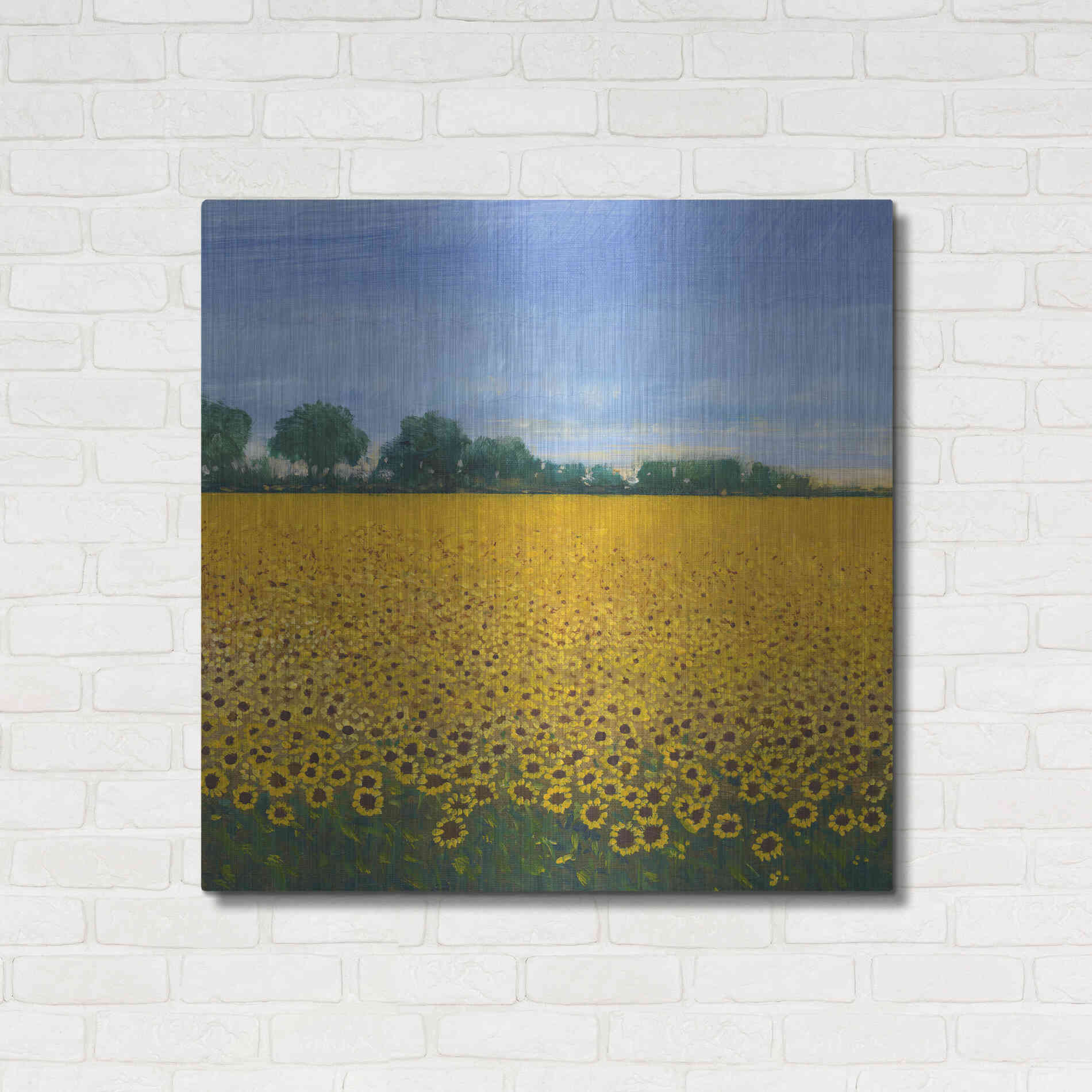 Luxe Metal Art 'Field of Sunflowers I' by Tim O'Toole, Metal Wall Art,36x36