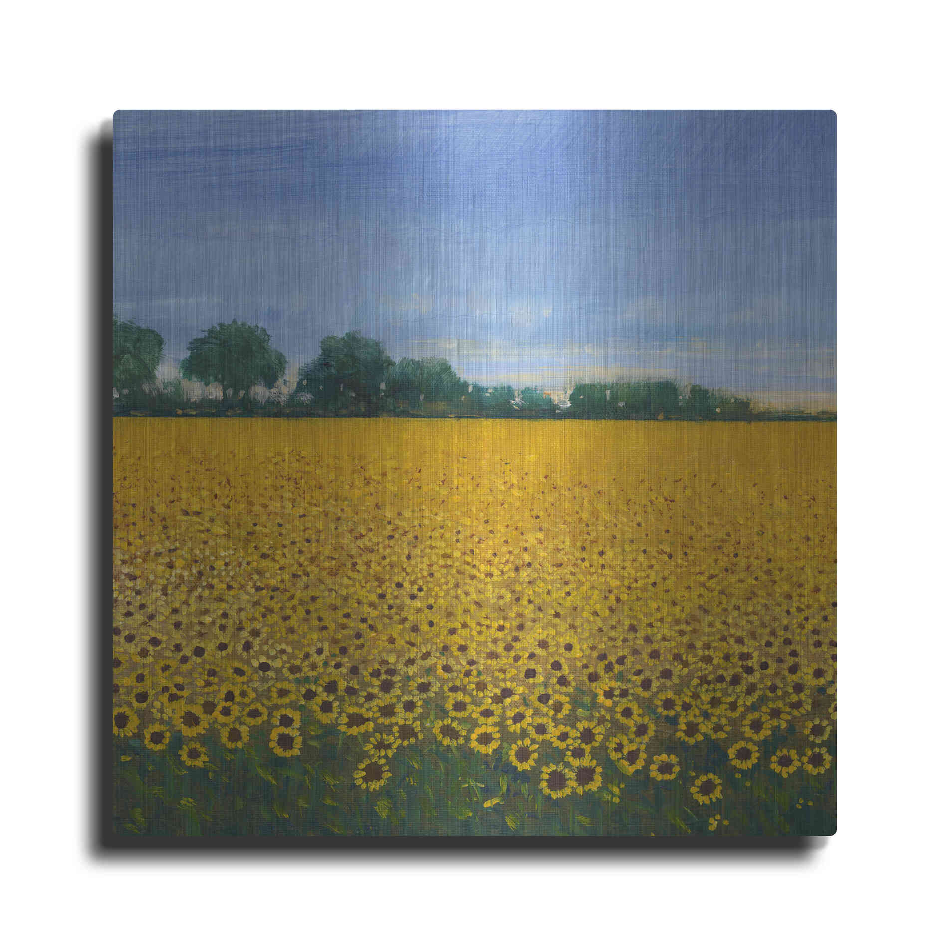 Luxe Metal Art 'Field of Sunflowers I' by Tim O'Toole, Metal Wall Art