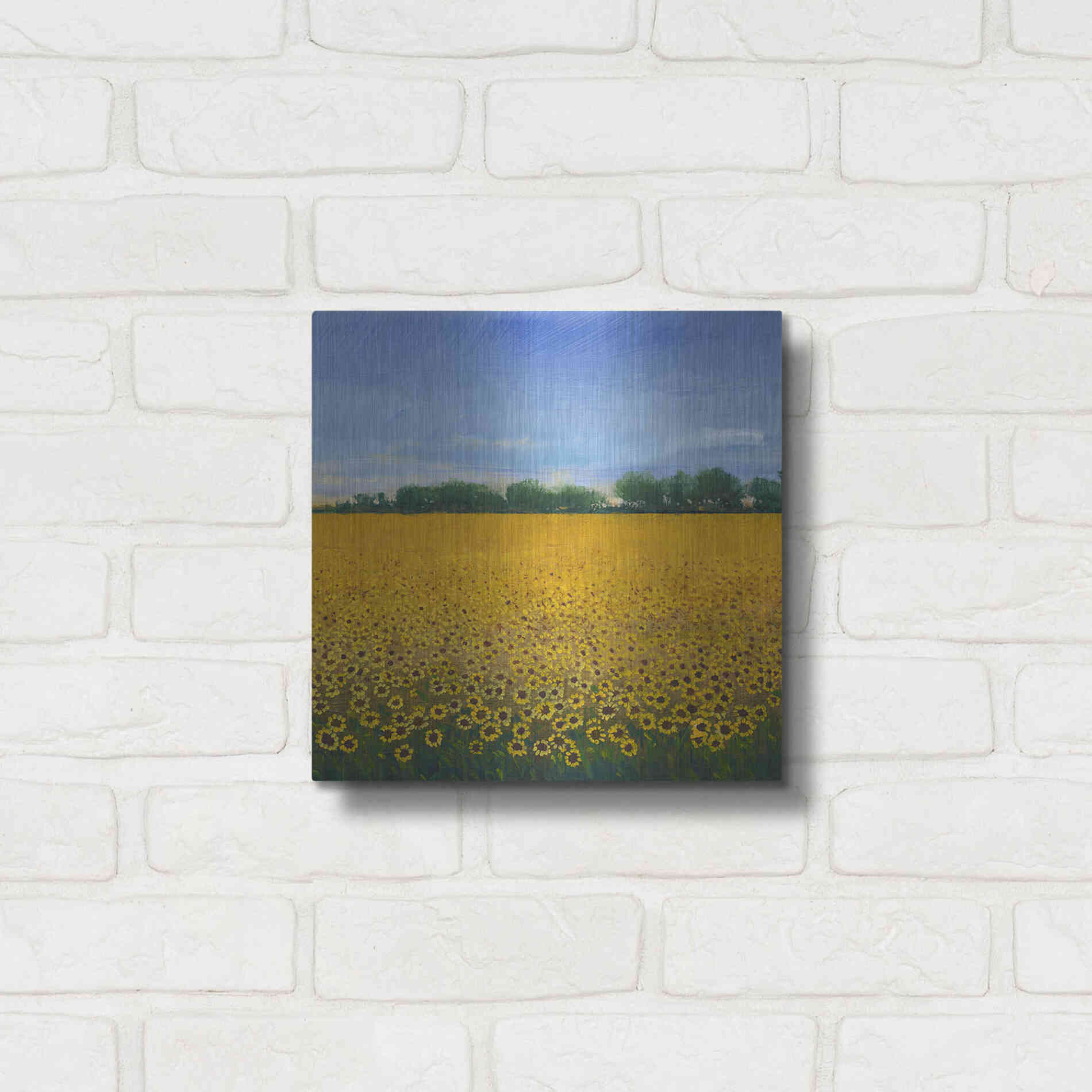 Luxe Metal Art 'Field of Sunflowers II' by Tim O'Toole, Metal Wall Art,12x12