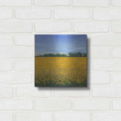 Luxe Metal Art 'Field of Sunflowers II' by Tim O'Toole, Metal Wall Art,12x12
