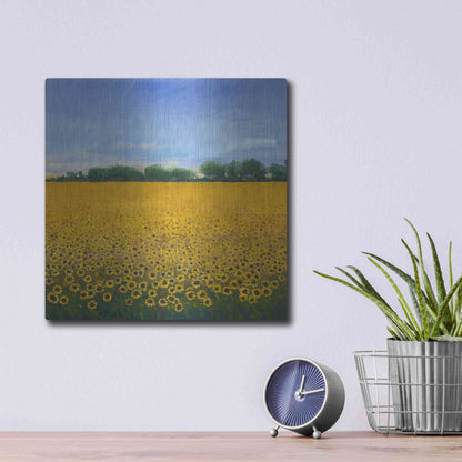 Luxe Metal Art 'Field of Sunflowers II' by Tim O'Toole, Metal Wall Art,12x12