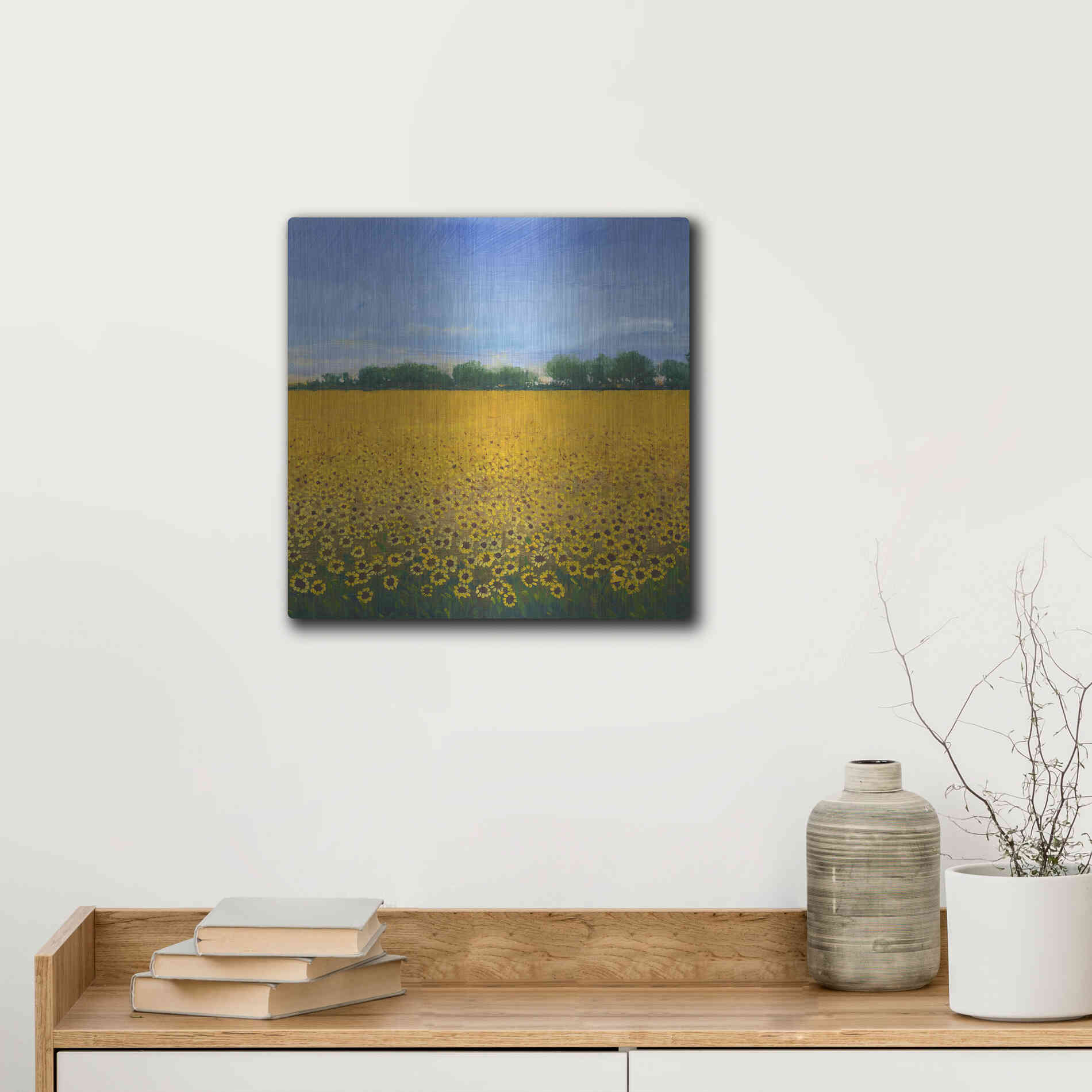 Luxe Metal Art 'Field of Sunflowers II' by Tim O'Toole, Metal Wall Art,12x12