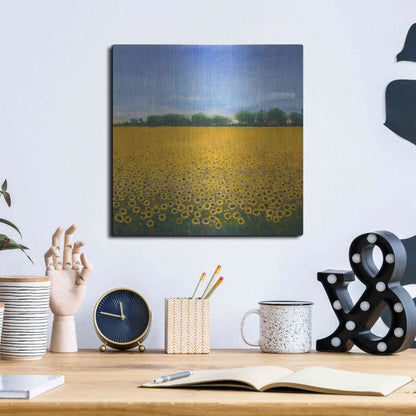 Luxe Metal Art 'Field of Sunflowers II' by Tim O'Toole, Metal Wall Art,12x12