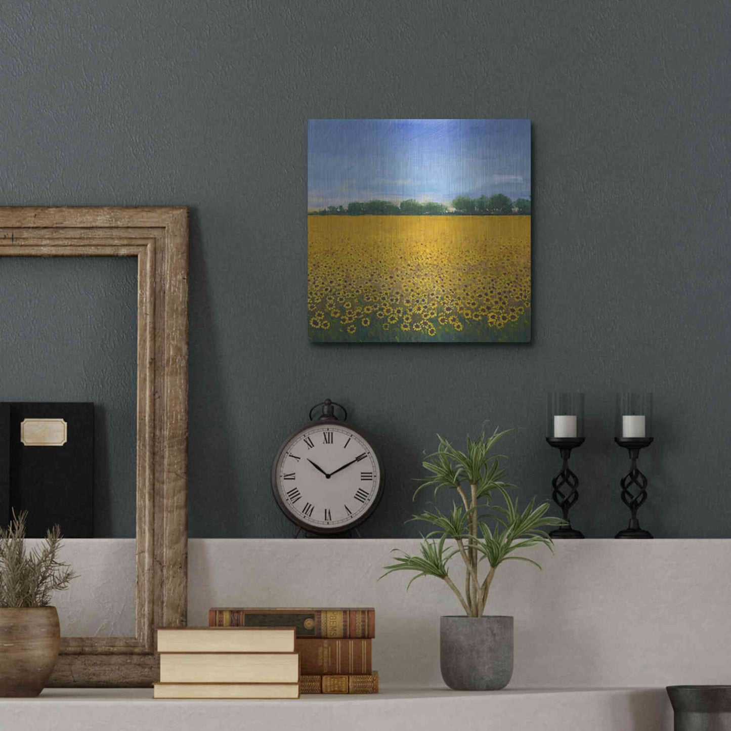 Luxe Metal Art 'Field of Sunflowers II' by Tim O'Toole, Metal Wall Art,12x12