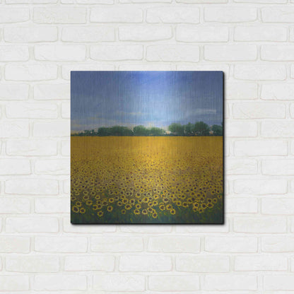 Luxe Metal Art 'Field of Sunflowers II' by Tim O'Toole, Metal Wall Art,24x24