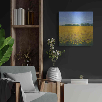 Luxe Metal Art 'Field of Sunflowers II' by Tim O'Toole, Metal Wall Art,24x24