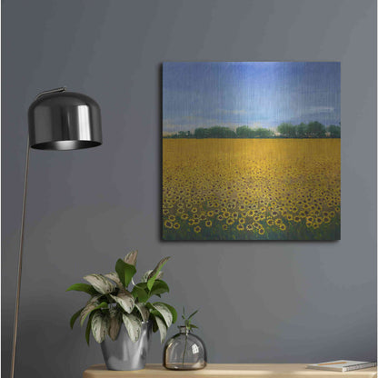 Luxe Metal Art 'Field of Sunflowers II' by Tim O'Toole, Metal Wall Art,24x24