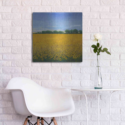 Luxe Metal Art 'Field of Sunflowers II' by Tim O'Toole, Metal Wall Art,24x24