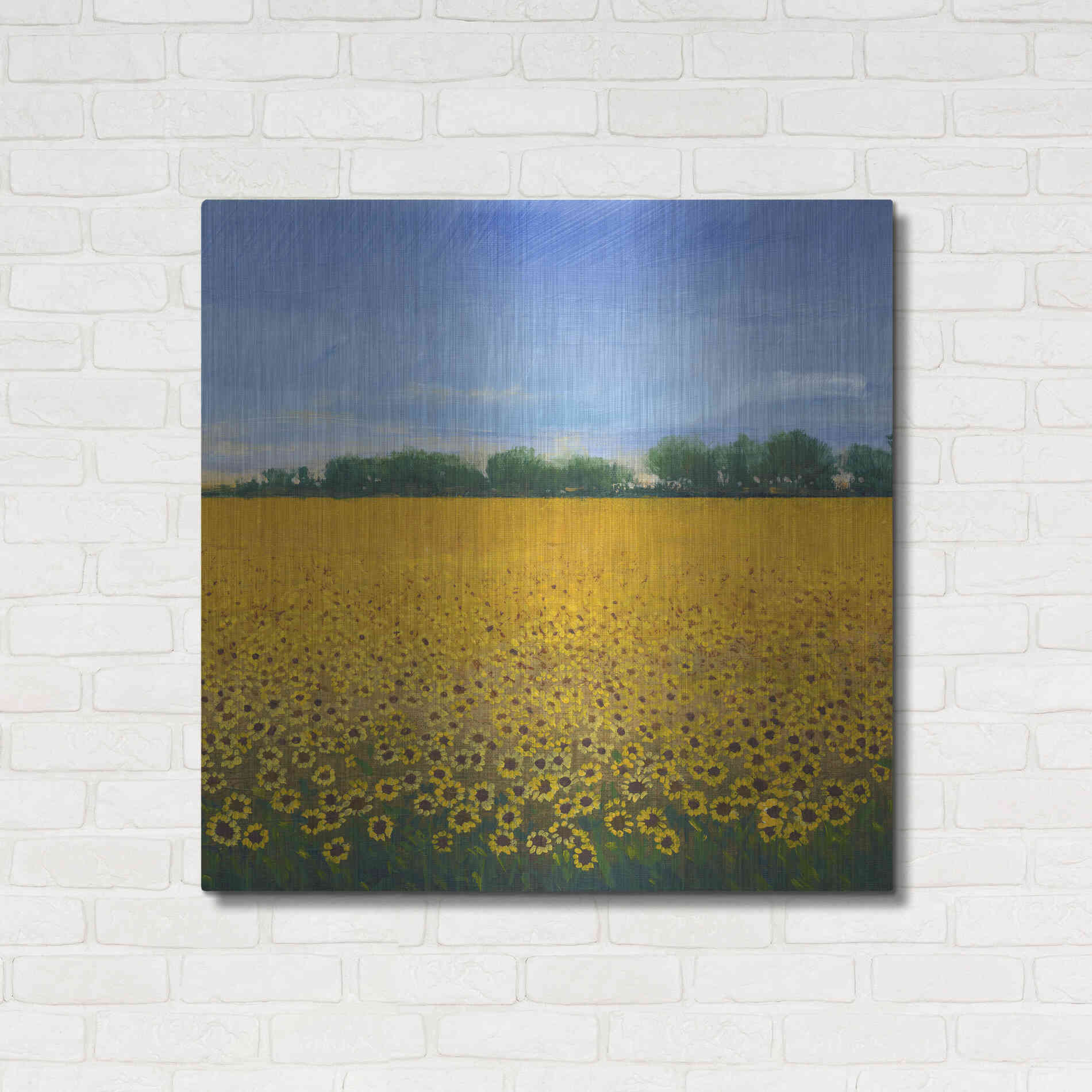 Luxe Metal Art 'Field of Sunflowers II' by Tim O'Toole, Metal Wall Art,36x36