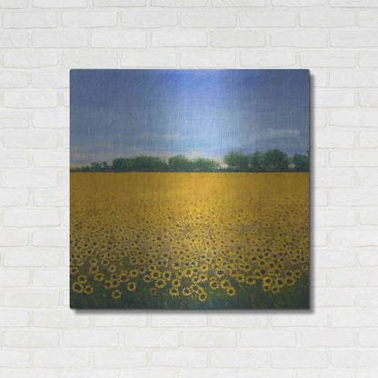Luxe Metal Art 'Field of Sunflowers II' by Tim O'Toole, Metal Wall Art,36x36