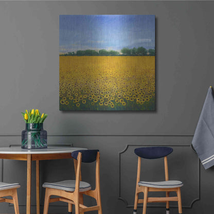 Luxe Metal Art 'Field of Sunflowers II' by Tim O'Toole, Metal Wall Art,36x36