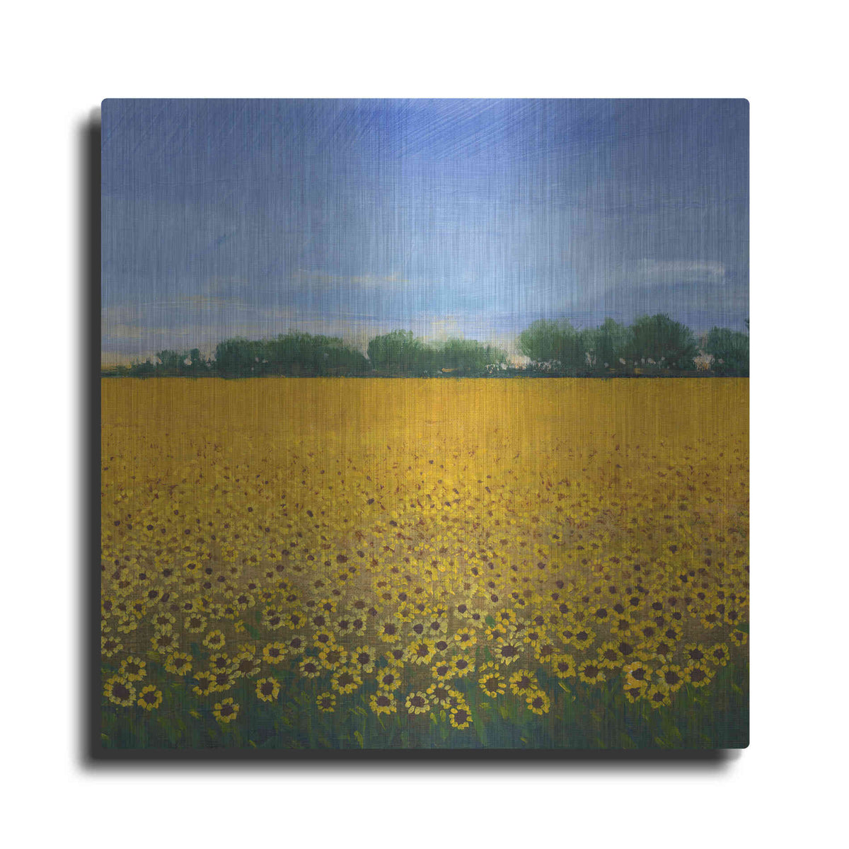 Luxe Metal Art 'Field of Sunflowers II' by Tim O'Toole, Metal Wall Art