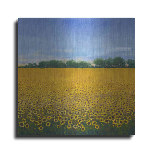 Luxe Metal Art 'Field of Sunflowers II' by Tim O'Toole, Metal Wall Art