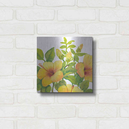 Luxe Metal Art 'Watercolor Hibiscus I' by Tim O'Toole, Metal Wall Art,12x12