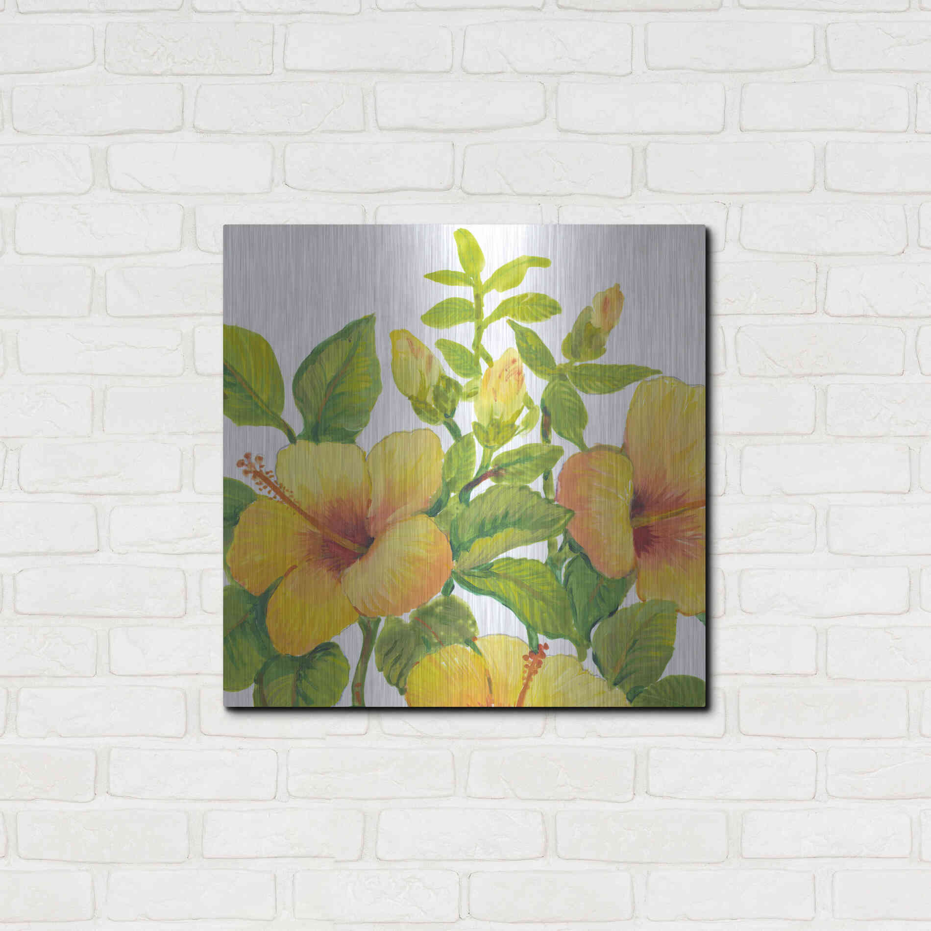 Luxe Metal Art 'Watercolor Hibiscus I' by Tim O'Toole, Metal Wall Art,24x24