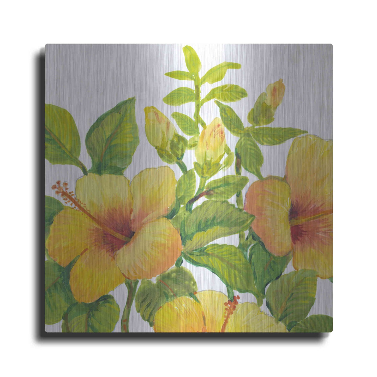 Luxe Metal Art 'Watercolor Hibiscus I' by Tim O'Toole, Metal Wall Art