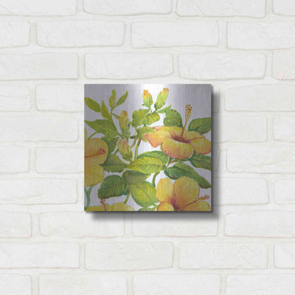 Luxe Metal Art 'Watercolor Hibiscus II' by Tim O'Toole, Metal Wall Art,12x12