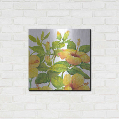 Luxe Metal Art 'Watercolor Hibiscus II' by Tim O'Toole, Metal Wall Art,24x24