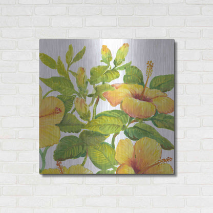 Luxe Metal Art 'Watercolor Hibiscus II' by Tim O'Toole, Metal Wall Art,36x36