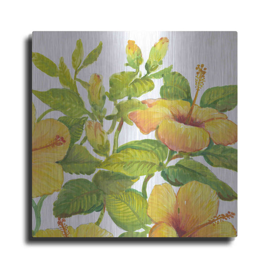 Luxe Metal Art 'Watercolor Hibiscus II' by Tim O'Toole, Metal Wall Art