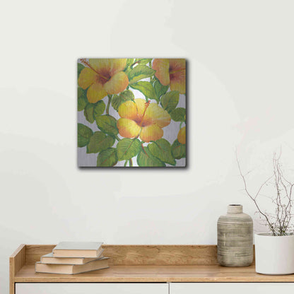 Luxe Metal Art 'Watercolor Hibiscus III' by Tim O'Toole, Metal Wall Art,12x12
